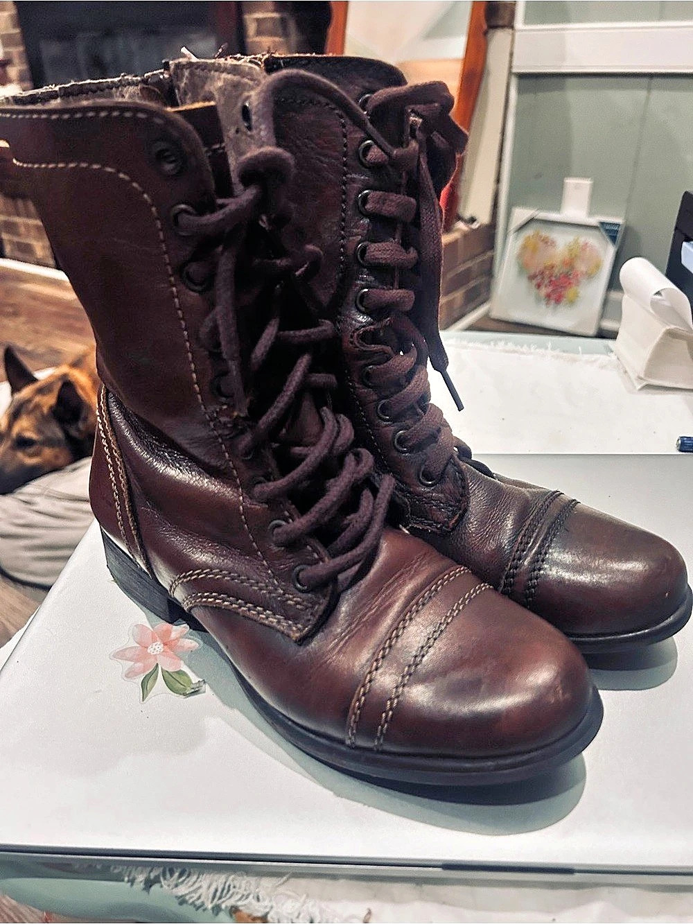 Steve Madden Troopa Combat Brown Lace-Up Boots